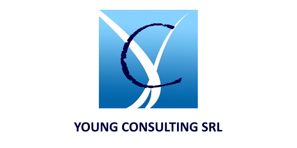 sp-young-consulting